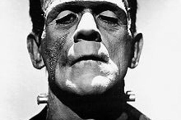 BitDefender: 'Frankenware' mutant virus now in the wild