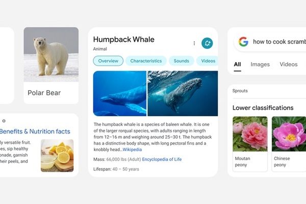 Googlen mobiilihaku uudistuu ulkoasun ja käytettävyyden osalta