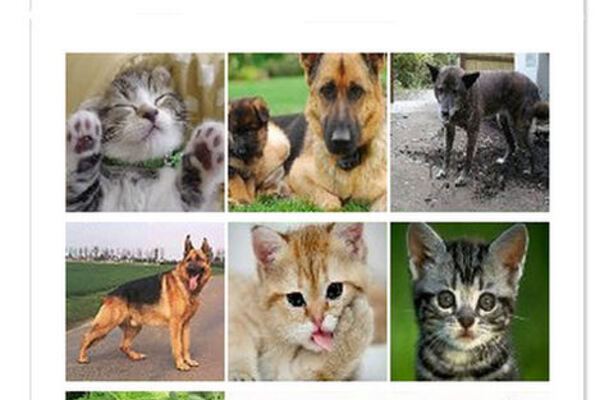 Google revamping Captcha verification system to be easier than typing jumbled text