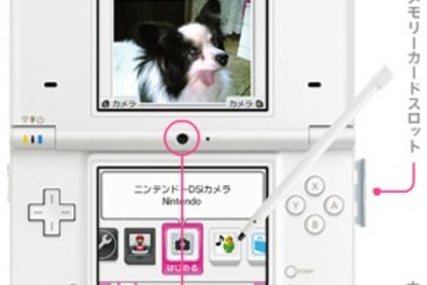 DSi still selling well in Japan