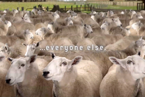 Samsung subtly calls Apple fans 'sheep'
