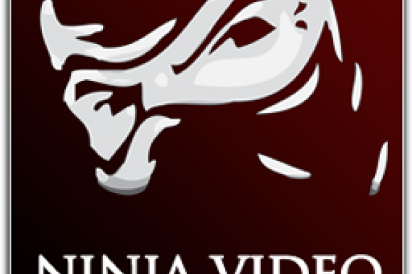 NinjaVideo admins plead guilty and face jailtime