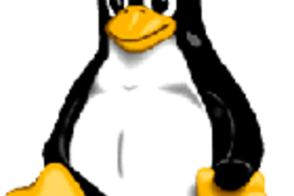 Open source leaders slam software patents