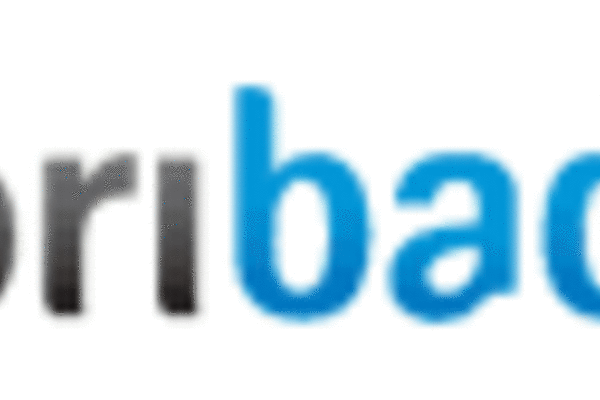Soribada P2P service shuts down