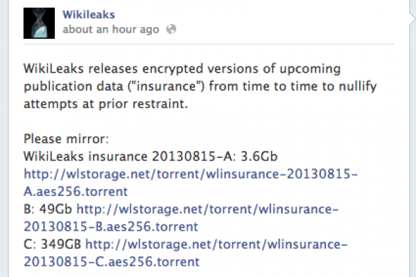 Wikileaks releases 400GB encrypted file as 'insurance'