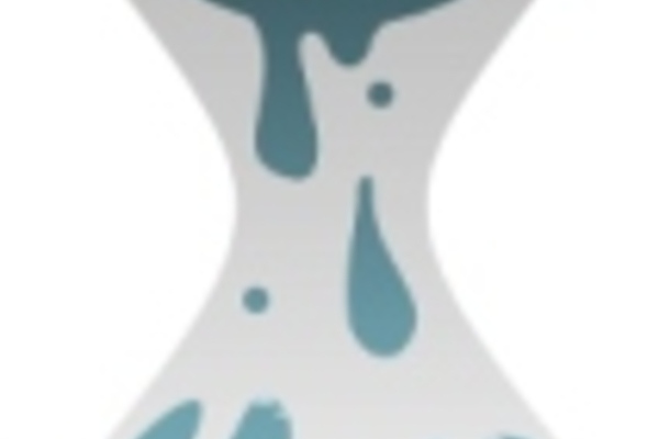 Wikileaks ceases publishing files as funds run dry