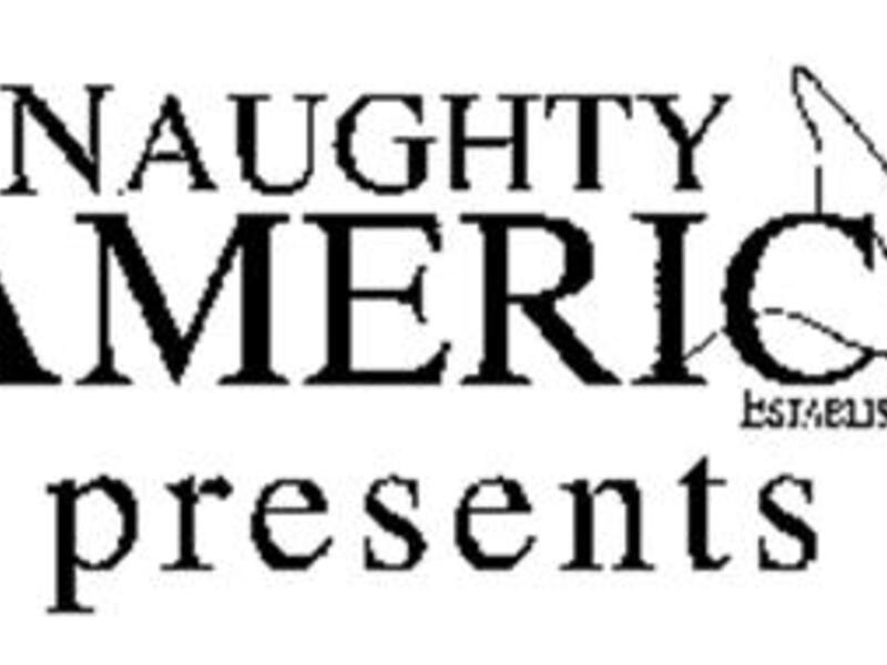 Naughty American Hd Video Com - Naughty America to begin shooting porn in 4K - AfterDawn